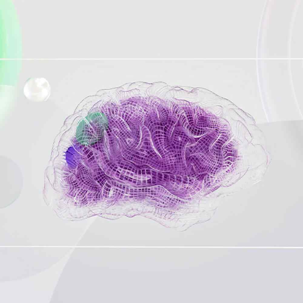 inner_image_02 https://smartkultur.com/wp-content/uploads/2023/11/inner_image_02.jpg